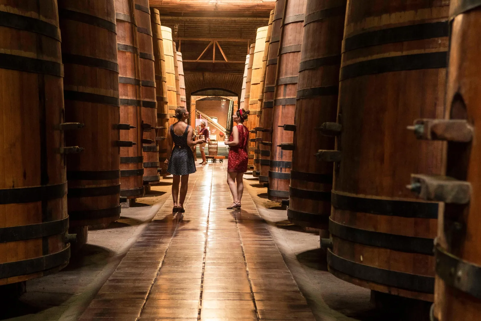 Cousiño Macul Heritage Wine Tour with Tastings