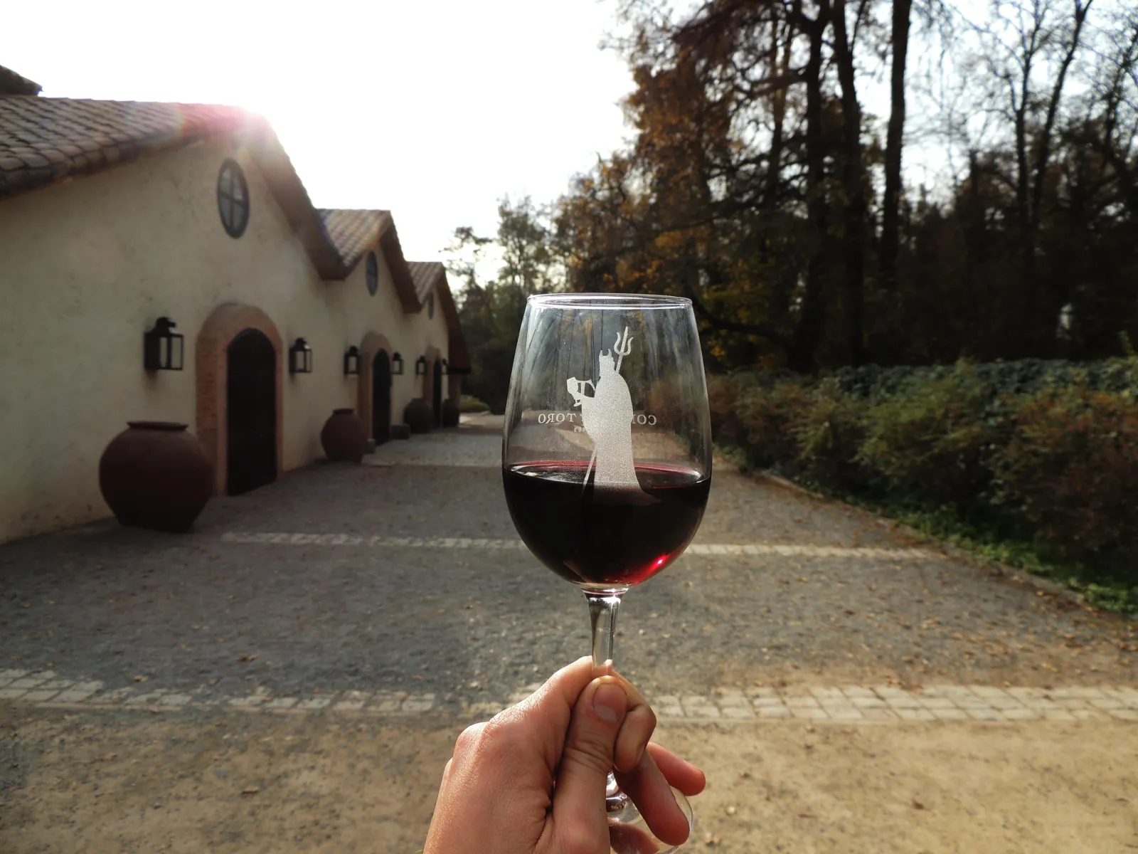 Concha y Toro and Undurraga Vineyards Tour from Santiago