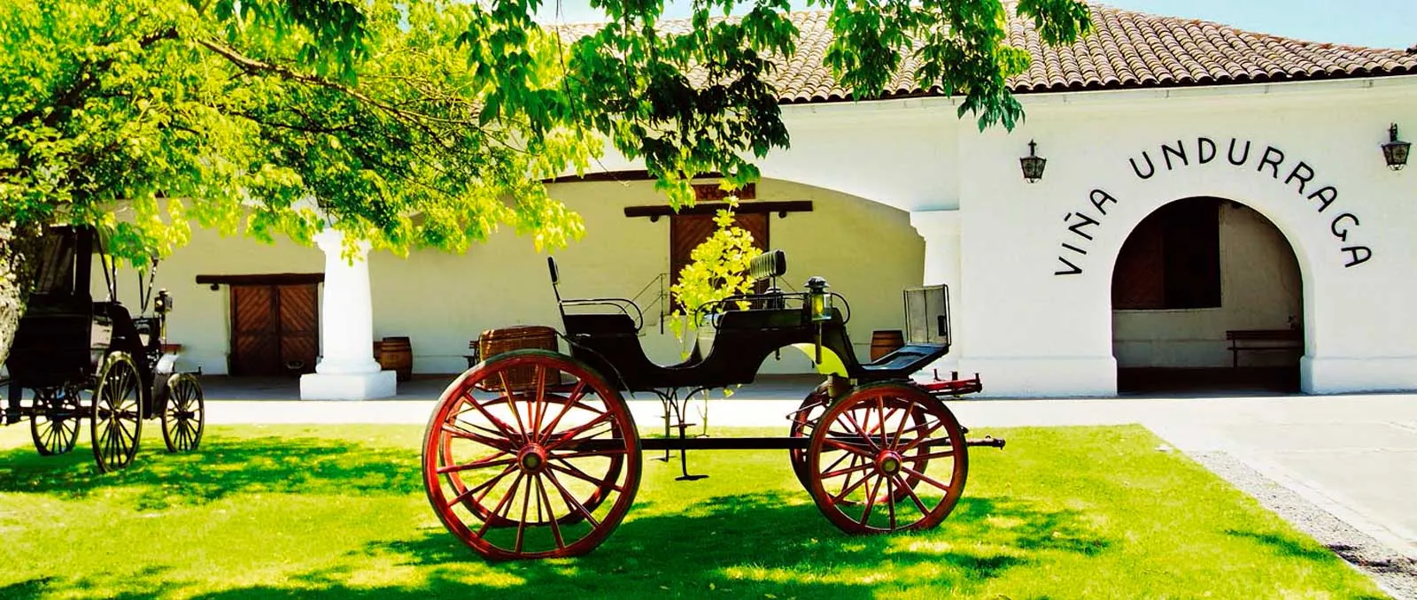 Red-wheeled antique carriage on the lawn in front of the Viña Undurraga building