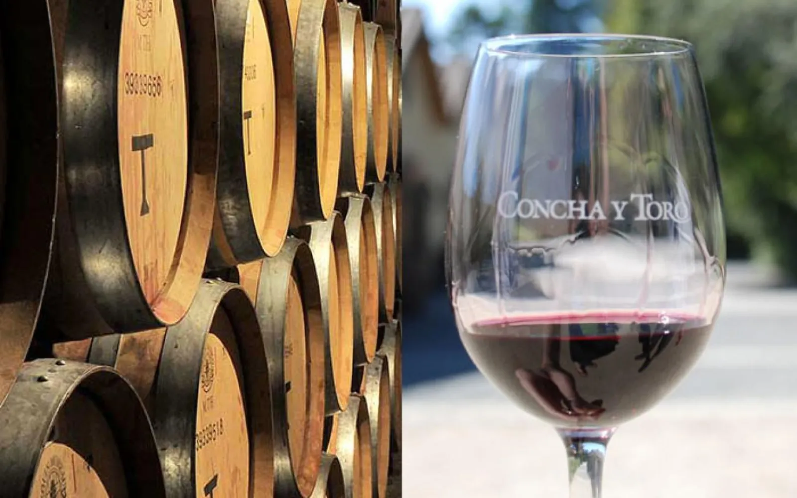 Stacked oak barrels next to a Concha y Toro glass of red wine