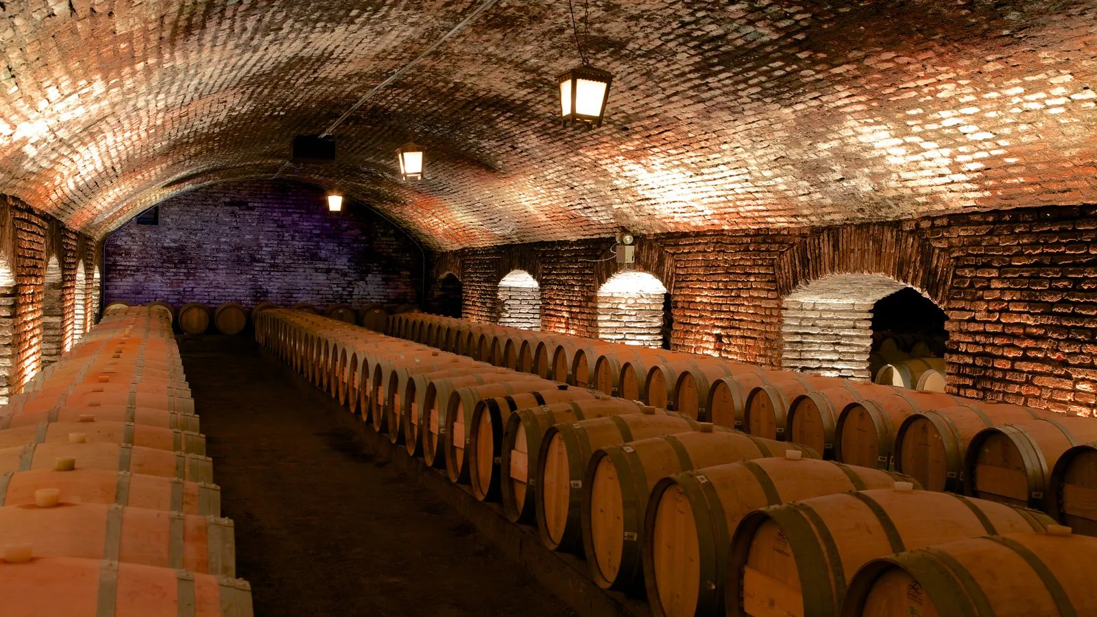 Vaulted brick cellar lit by lanterns with long rows of oak barrels