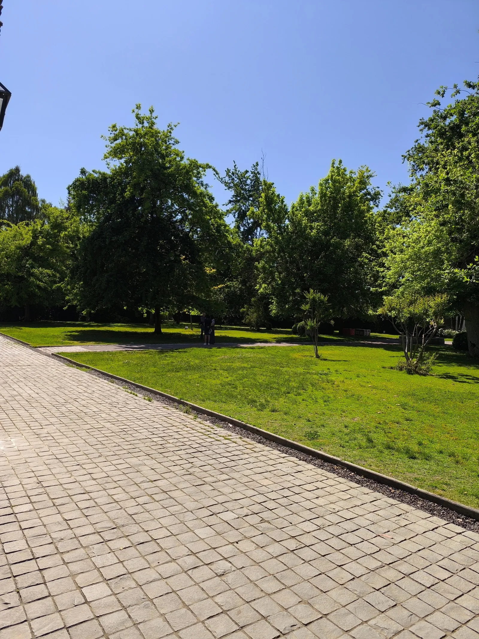 Cobbled path beside a wide lawn and leafy trees under blue sky