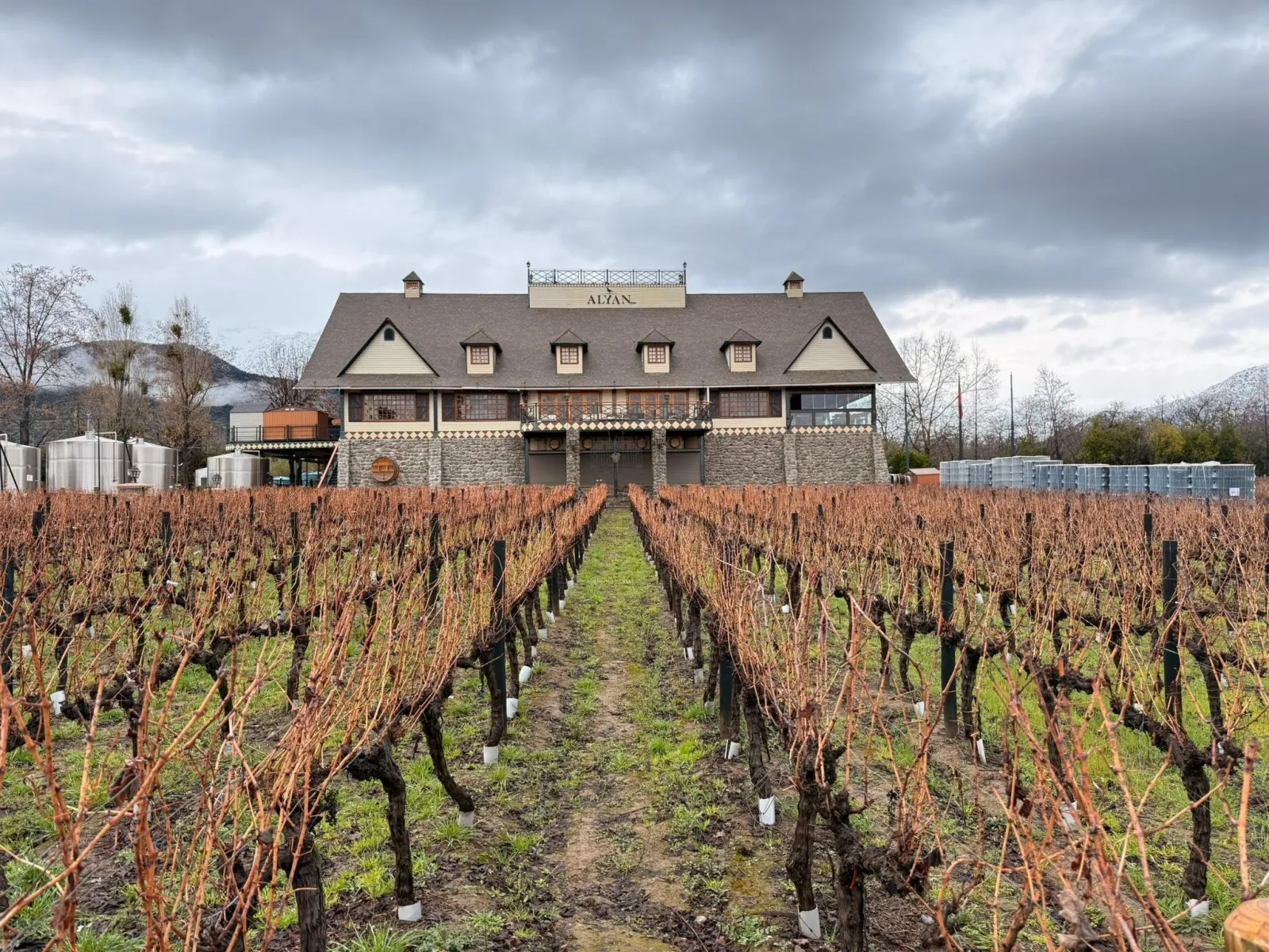 Alyan Family Wines Sunset Tour with Dinner and Hotel Transfers
