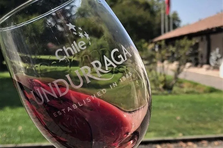 Red wine swirling in an Undurraga glass on a sunny lawn