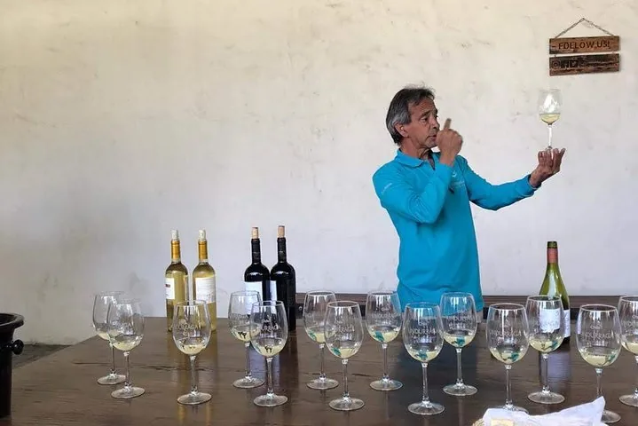 Guide holding up a glass of white wine behind a row of tasting glasses