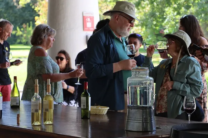 Visitors tasting red and white wine at a covered outdoor bar