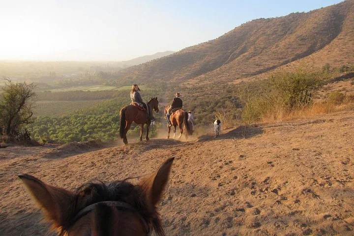 View between a horse's ears of riders on a dusty hillside trail