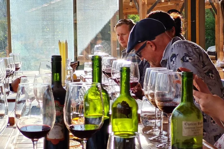 Rows of filled red wine glasses and green bottles on a tasting bar