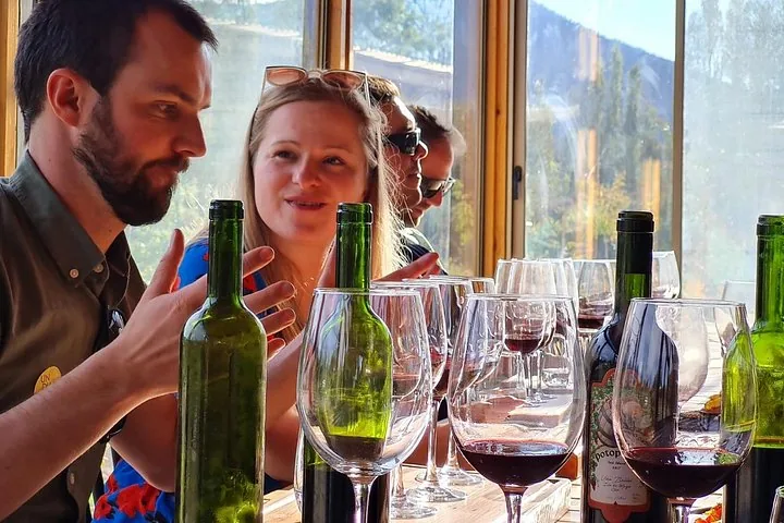 Visitors tasting red wine at a sunny window counter lined with bottles