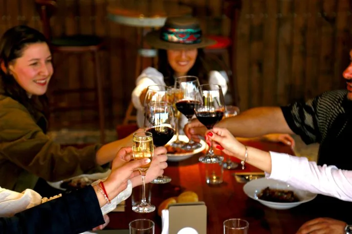 Friends clinking glasses of red and sparkling wine over plates at a wooden table