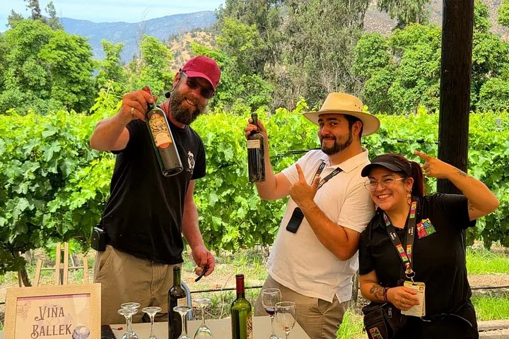 Guides holding up bottles at a Viña Ballek tasting table among green vines