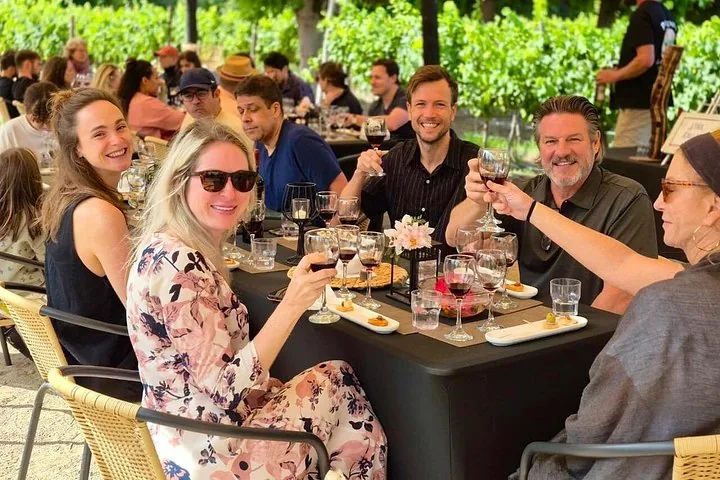 Group raising glasses of red wine at a long table beside the vines