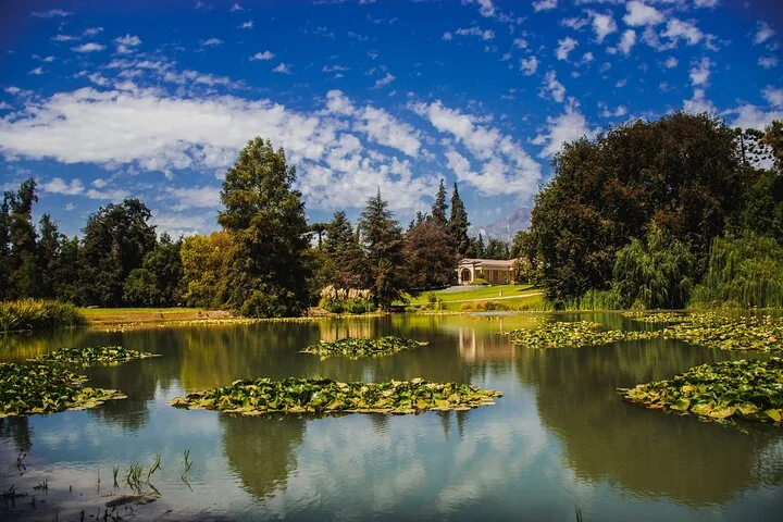 Lily pond in a wooded park with a pale estate house beyond