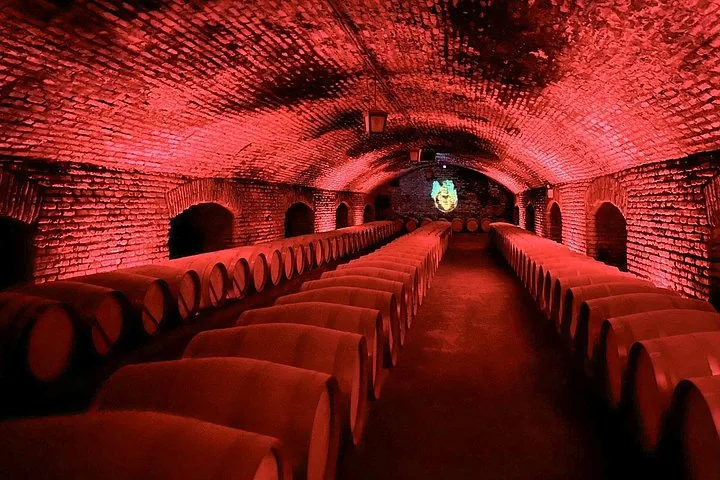 Marqués de Casa Concha Tasting at Concha y Toro from Santiago