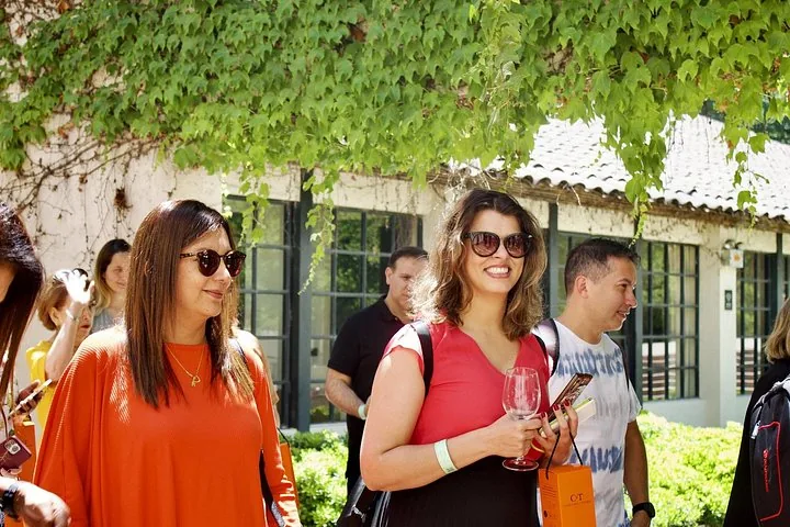 Smiling visitors with wine glasses walking under hanging vine leaves