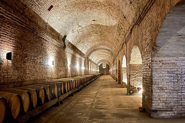 Long vaulted brick cellar with barrels lined along one wall