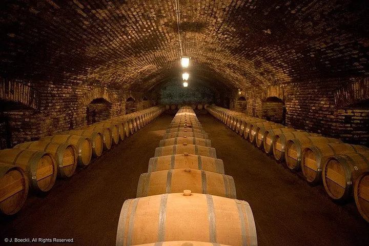 Long brick-vaulted cellar lined with rows of oak barrels
